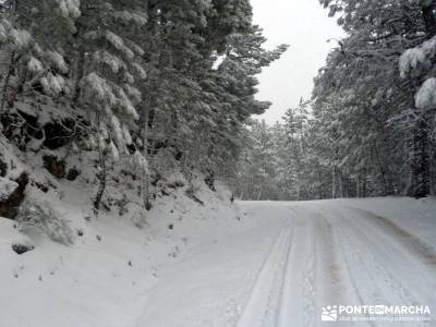 Valle de Iruelas - Pozo de nieve - Cerro de la Encinilla;rutas a caballo en madrid rutas a caballo m